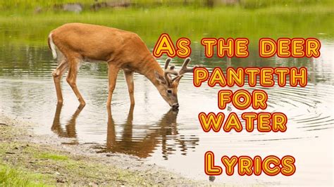 dpwh hymn lyrics|The Deer Panteth For The Water Song Lyrics .